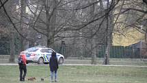 Na pořádek v Komenského sadech dohlíželi strážníci a policisté.