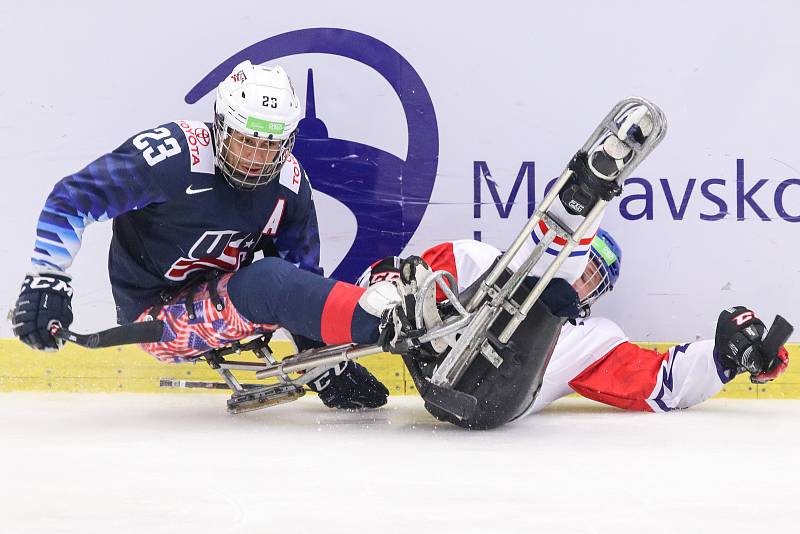 Mistrovství světa v para hokeji 2019, 3. května 2019 v Ostravě. Na snímku (zleva) Roman Rico (USA), Kubes Pavel (CZE).