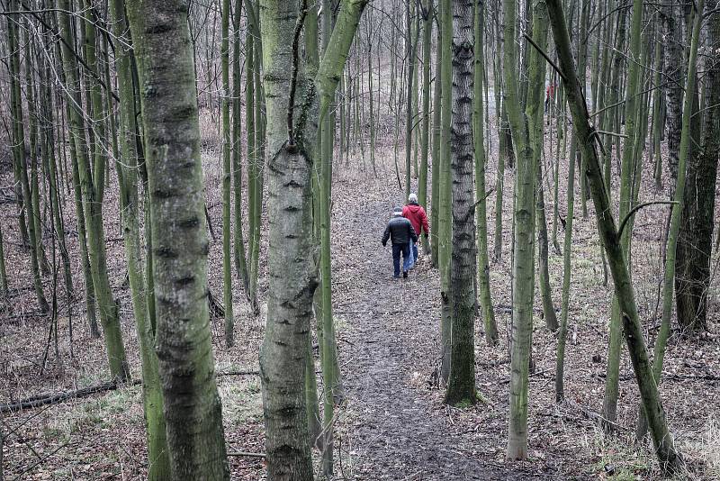 Novoroční výstup na haldu Ema, 1. ledna 2019 v Ostravě.