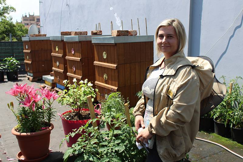 Dříve se neřešila otázka léčení včel, říká opavská včelařka Michaela Štěpáníková