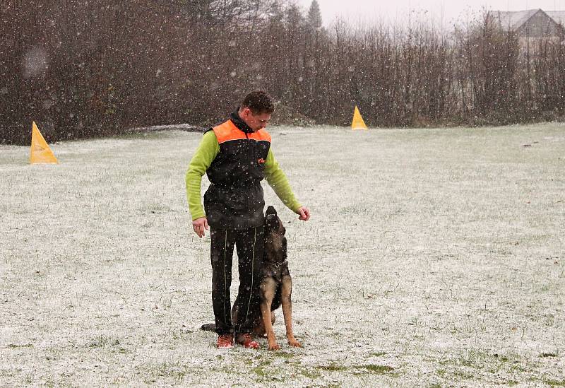 Pravidelný výcvik Martina Uřičaře a tříletého německého ovčáka Izzyho nenaruší ani nepřízeň počasí.