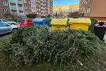 Vánoční stromečky u kontejnerů, 6. ledna 2022 v Ostravě.