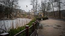 Zoo Ostrava je nadále dle nařízení vlády uzavřená, 6. února 2021 v Ostravě. Panda červená.