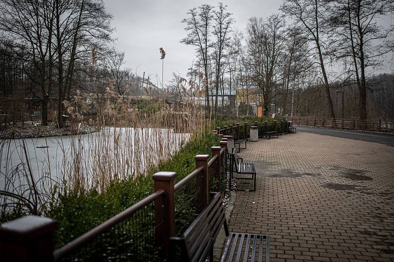 Zoo Ostrava je nadále dle nařízení vlády uzavřená, 6. února 2021 v Ostravě. Panda červená.