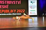 Českým želízkem v ohni bude na světovém šampionátu v Ostravě Viktorie Prokopová z Fitness Center Báry a Hanky Šulcové, která zářila na mistrovství republiky začátkem října v Brně. 