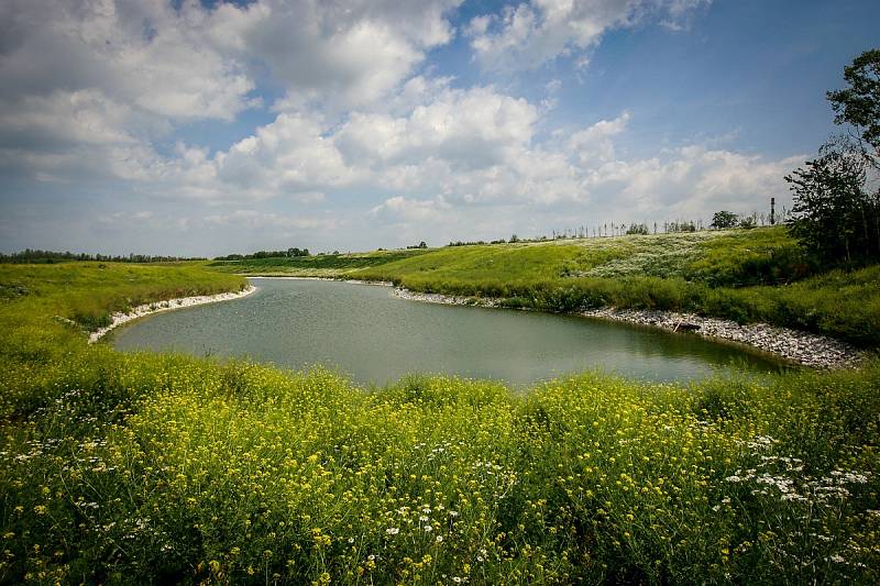 Jezero na haldě v Hrabůvce, červen 2017