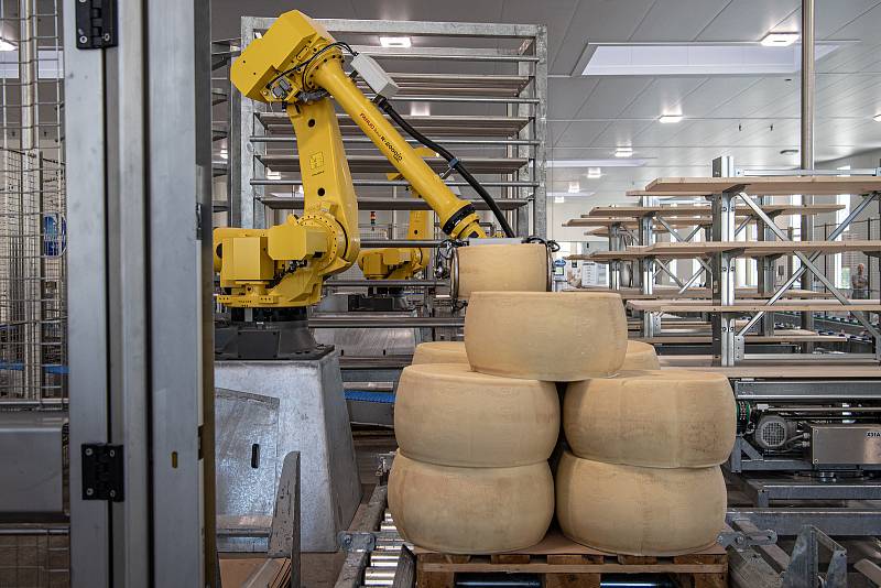 Robotizovaný sklad sklad sýrů společnosti Gran Moravia, 12. srpna 2021 v Cogollo del Cengio v provincii Vicenza, Benátsko, Itálie. Příjem bochníků sýru.