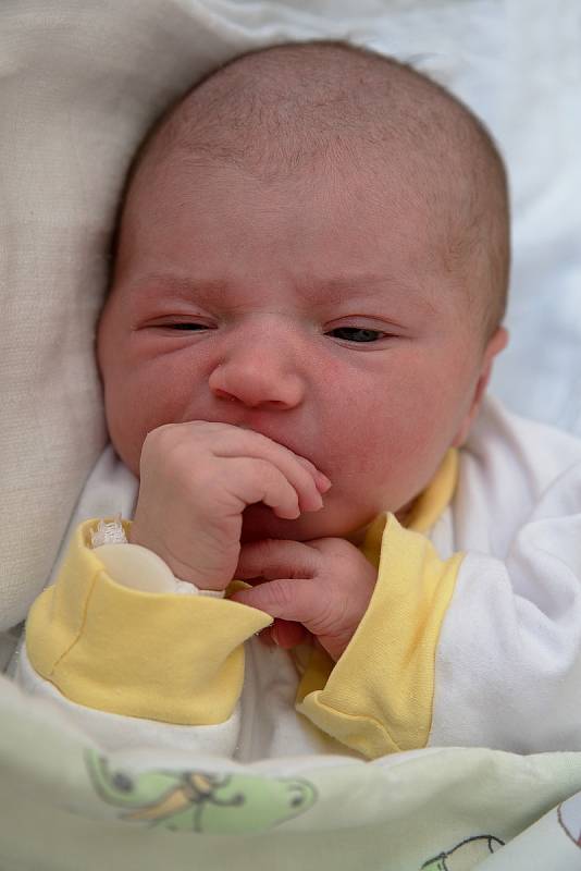 Eliška Filipová, narozena 16. června 2021 v Karviné, míra 48 cm, váha 2940 g. Foto: Marek Běhan
