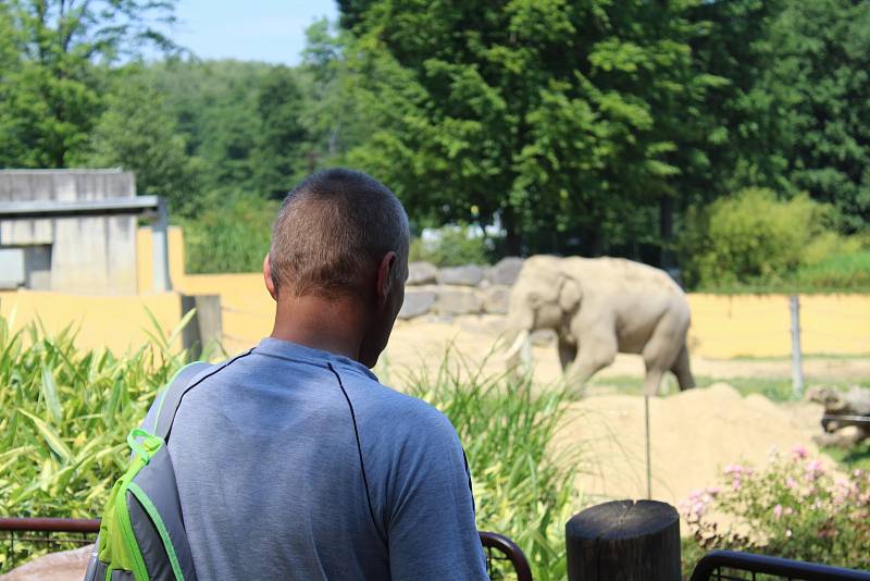 Ostravská zoo v sobotu opět přivítala masy lidí. Někteří se pro návštěvu rozhodli i kvůli novému slonímu samci z Francie, jiní o novici neměli ponětí, ani když jej odděleného od stáda sami viděli.