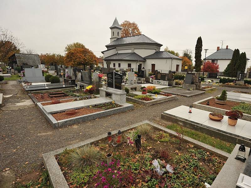 HŘBITOV V POLANCE. Po starých a vzrostlých stromech zůstaly jen pařezy.  