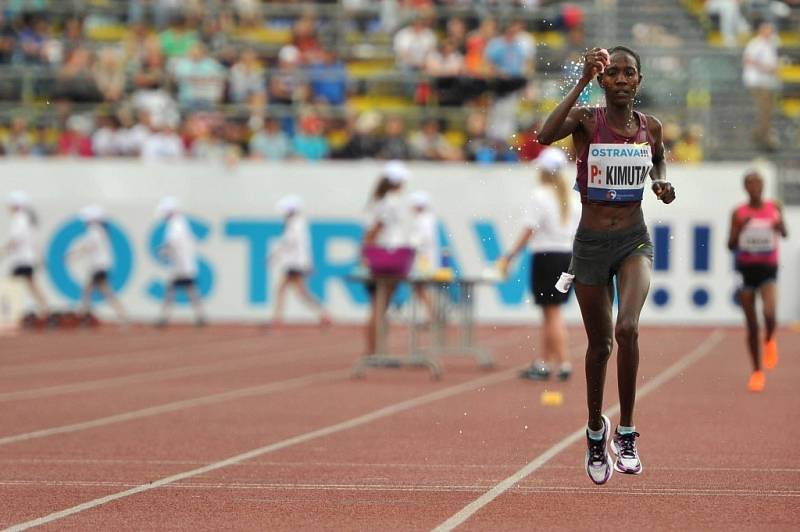 Zlatá tretra Ostrava 2014. Alice Kimutai. 