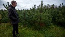 Rodinná plantáž vánočních stromků se nachází na okraji města Vratimova, v části výstižného názvu Zadky, ulice Na Zadkách.