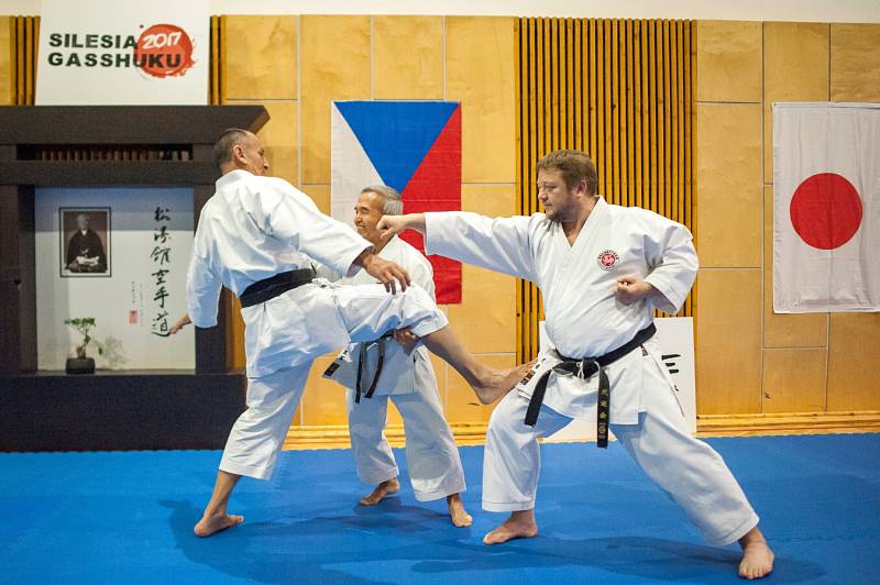 Karatistického semináře Silesia Gasshuku 2017 v Jeseníkách, se první červnový víkend zúčastnil také drobný osmasedmdesátiletý Shihana Masarua Miury, velmistr karate, který pocházejí ze staré japonské samurajské rodiny.