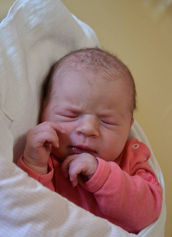 Julie Nováková, 16. 4. 2019, 49 cm, 3540 g, Hladké Životice. Vítkovická nemocnice Ostrava.