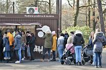 Prosluněný víkend využila řada lidí k návštěvě ostravské zoo.