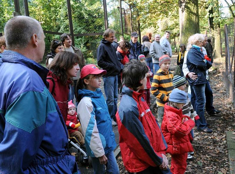 V ostravské zoo slavili Den zvířat