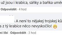 Reakce na adresu vánoční výzdoby v centru Ostravy.