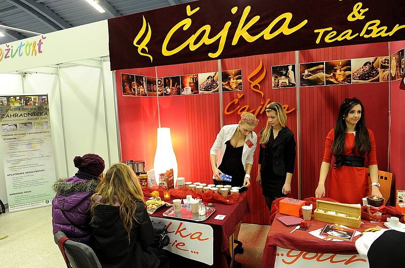 Veletrh fiktivních firem v Ostravě