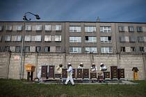 Sklizeň medu v Heřmanické věznici, úterý 15. května 2018, Ostrava. Vězni zúročili svou celoroční „včelí” práci.