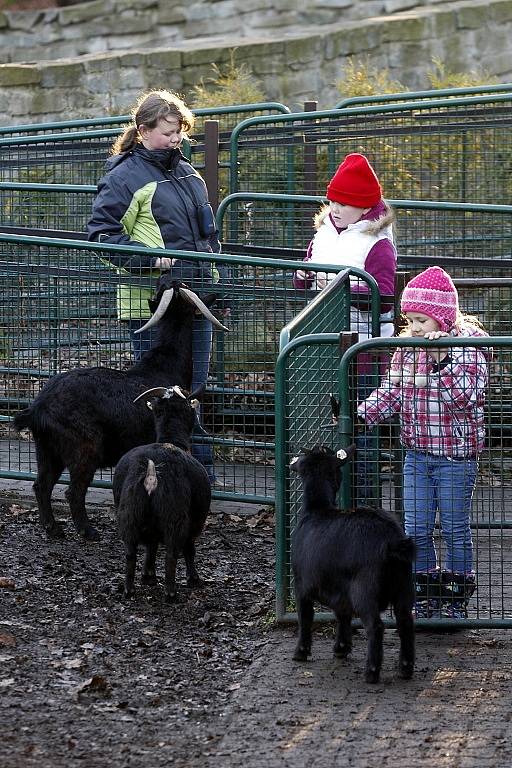 Ať už v kostele, nebo zoo. Ostravané se během vánočních svátcích nenudili. Někteří vyrazili i na Lysou horu.