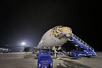 Přištání leopardího Boeingu 777-300 společnosti Rossiya Airlines v Mošnově.