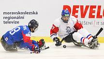 Mistrovství světa v para hokeji 2019, Korea - Česká republika (zápas o 3. místo), 4. května 2019 v Ostravě. Na snímku (zleva) Lee Jong Kyung (KOR), Dolezal Pavel (CZE).