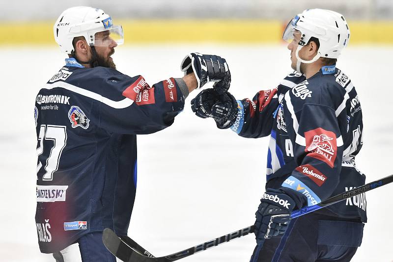 Utkání 30. kola hokejové extraligy: HC Vítkovice Ridera - HC HC Škoda Plzeň, 28. prosince 2018 v Ostravě. Na snímku (zleva) Milan Gulaš a Jan Kovář.