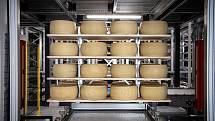 Robotizovaný sklad sklad sýrů společnosti Gran Moravia, 12. srpna 2021 v Cogollo del Cengio v provincii Vicenza, Benátsko, Itálie. Bochníky putují po přepravním pásu do skladu.