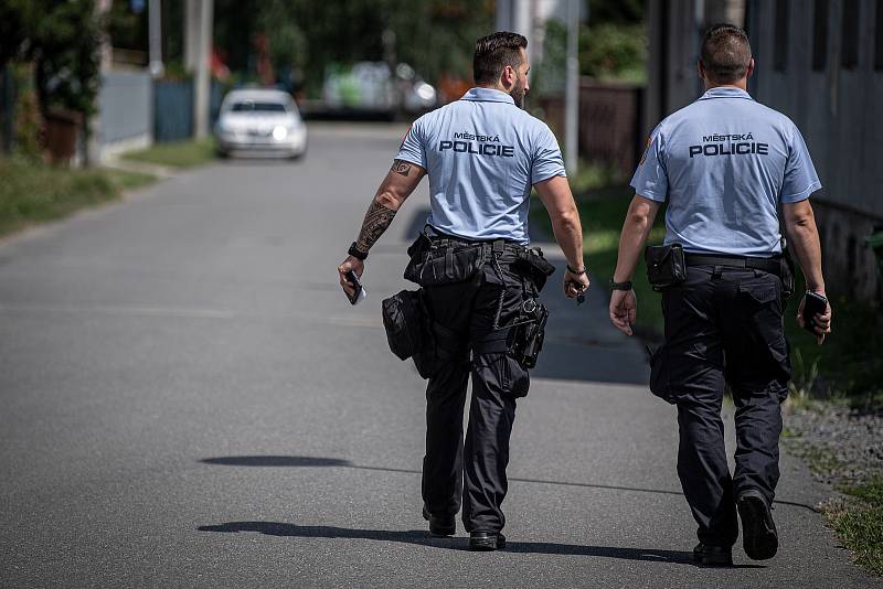 Policisté se strážníky pátrají po ztraceném krokodýlovi v okolí ulice Závodní, 26. července 2021 v Ostravě-Hrabůvce.