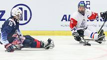 Mistrovství světa v para hokeji 2019, 3. května 2019 v Ostravě. Na snímku (zleva) Zych Kyle (USA), Geier Michal (CZE).