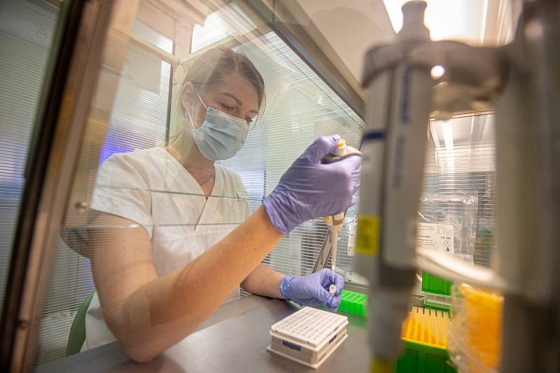 Testování vzorků koronaviru v laboratoři AGELLAB ve Vítkovické nemocnici v Ostravě. Ilustrační snímek