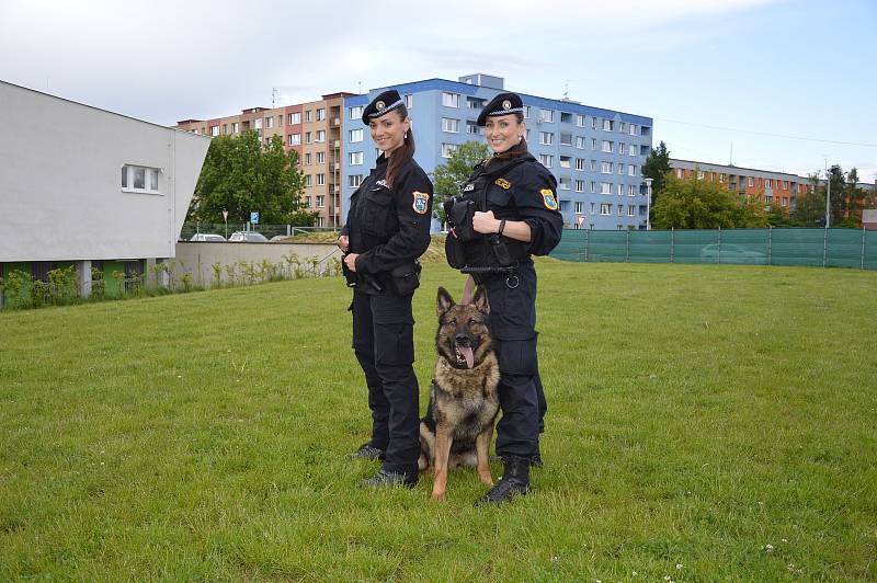 Strážnice (vlevo Alena Klapetková, vpravo Nikol Vítečková) slouží v řadách ostravské městské policie několik let.