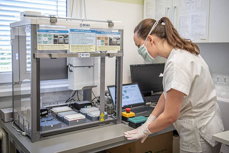 Testování vzorků koronaviru v laboratoři AGELLAB ve Vítkovické nemocnici v Ostravě. Ilustrační snímek