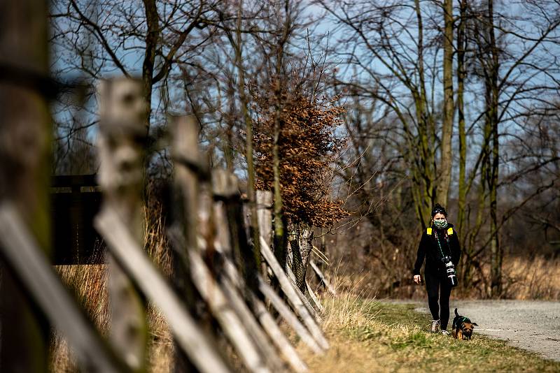 Ostrava v celostátní karanténě, 19. března 2020. Vláda ČR vyhlásila dne 15.3.2020 celostátní karanténu kvůli zamezení šíření novému koronavirové onemocnění (COVID-19). Od 19.3.2020 také povinné nošení roušek na veřejnosti.