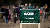 Ilustrační foto z akce Sázíme lesy nové generace, která se uskutečnila 19. řina 2019 v Šilheřovicích.