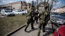 Společné hlídky vojáků a policistů v ulicích Ostravy i dalších měst České republiky se objevily například v reakci na teroristické útoky v Bruselu. Ilustrační foto.