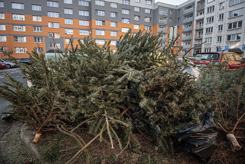 Vyhozené vánoční stromky u kontejnerů, 10. ledna 2022 v Ostravě.