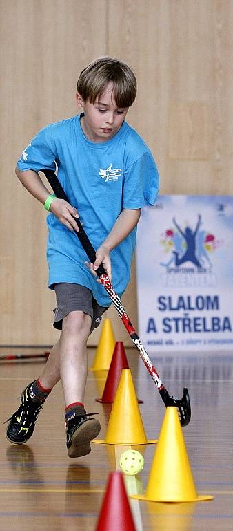 Talent roku 2014 v Ostravě. Podpůrná akce projektu Sportovní den s Talentem, jehož mediálním partnerem je i Deník, měla za cíl rozhýbat malé školáky.