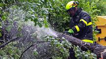 Krátké prudké deště a vítr škodily v Moravskoslezském kraji, zásahy hasičů, pátek 1. července 2022.