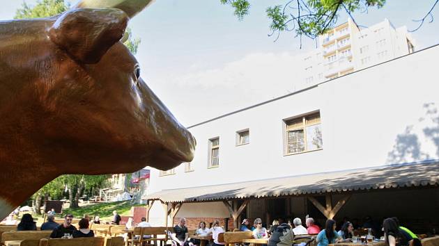 STRAČENA PUB najdete ve Výškovicích v ulici Lužická, má otevřeno každý den od 12 hodin a kromě sedmi druhů piva si tam můžete vybrat z řady domácích jídel. 