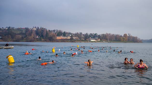 Charitativní plavecká akce Kamilovy míle, kterou uspořádal spolek plavců Zimní koupelníci, 13. listopadu 2021, Žermanická přehrada.