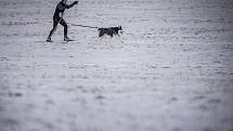 Jako na Aljašce si museli připadat lidé, kteří v sobotu navštívili Bordovice na Novojičínsku, kde se konaly závody psích spřežení.
