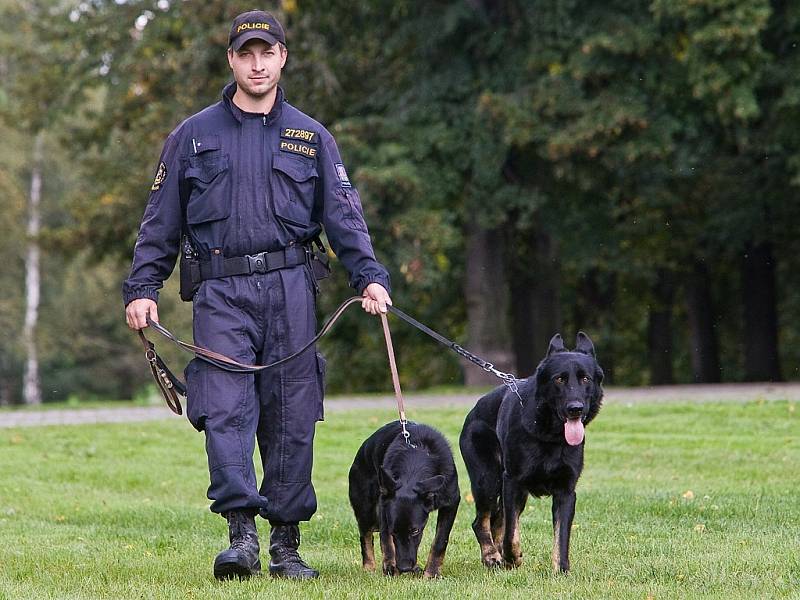 HERO. Policejní pes, který dopadl podezřelého z poškození cizího majetku.