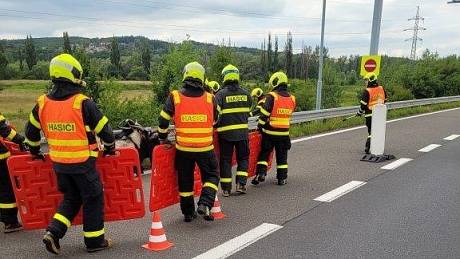 Na dálnici D1 vběhlo osm kozlů, akce hasičů, Ostrava, sobota 2. července 2022.