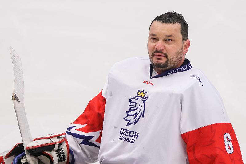 Mistrovství světa v para hokeji 2019, 3. května 2019 v Ostravě. Na snímku Vapenka Michal (CZE).