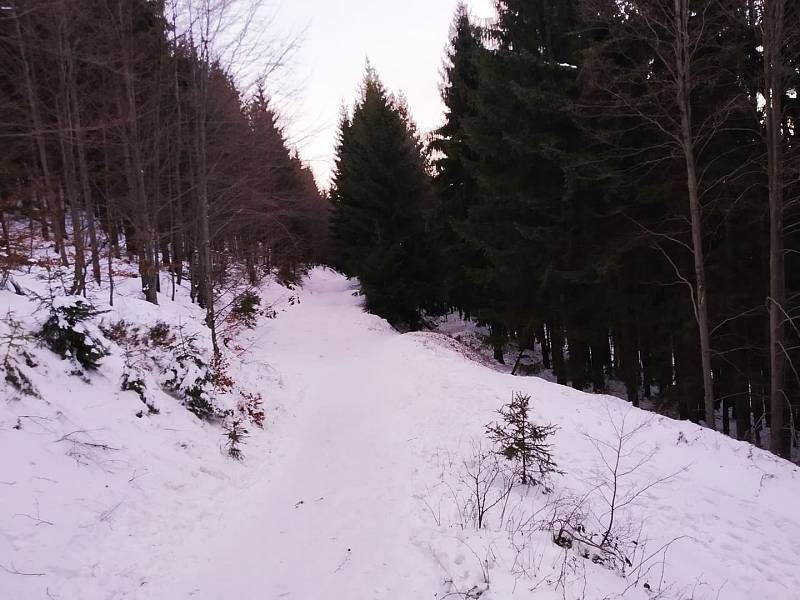 Beskydy, cesta na Lysou horu, 2. ledna 2020.