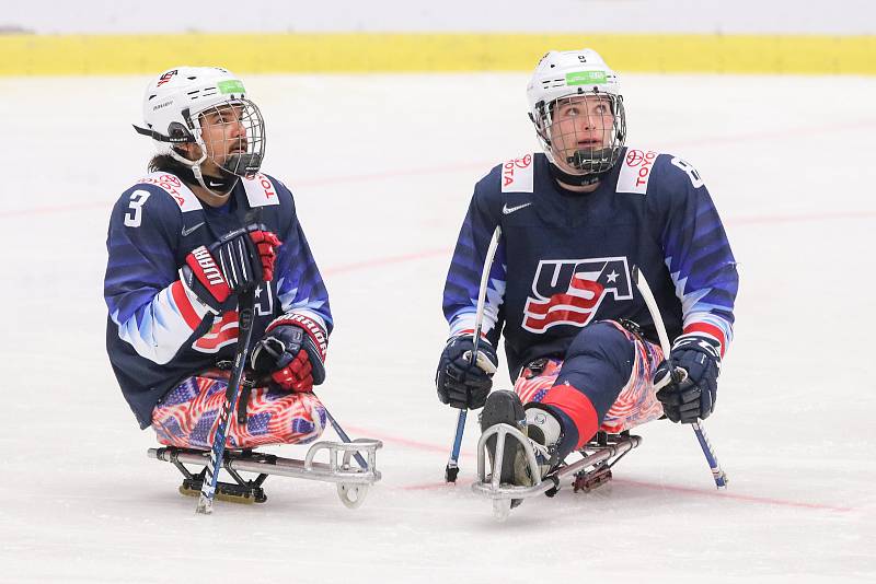 Mistrovství světa v para hokeji 2019, 3. května 2019 v Ostravě. Na snímku (zleva) Dequebec Ralph (USA), Wallace Jack (USA).