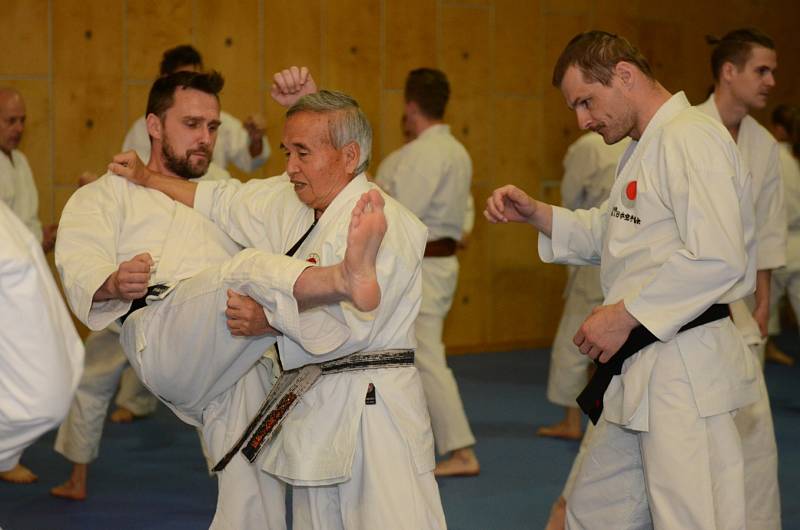 Karatistického semináře Silesia Gasshuku 2017 v Jeseníkách, se první červnový víkend zúčastnil také drobný osmasedmdesátiletý Shihana Masarua Miury, velmistr karate, který pocházejí ze staré japonské samurajské rodiny.