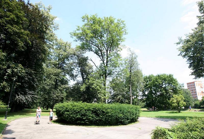 Park u řeky Ostravice v centru města čekají změny. Za radnicí vznikne promenáda, vynikne busta Komenského, o kousek dál bude jezírko s altánkem. Současný stav v prostoru za Novou radnicí.