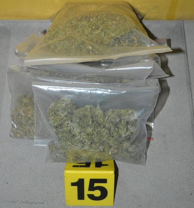 Celníci zadrželi zásilku drog a odhalili pěstírnu marihuany. 